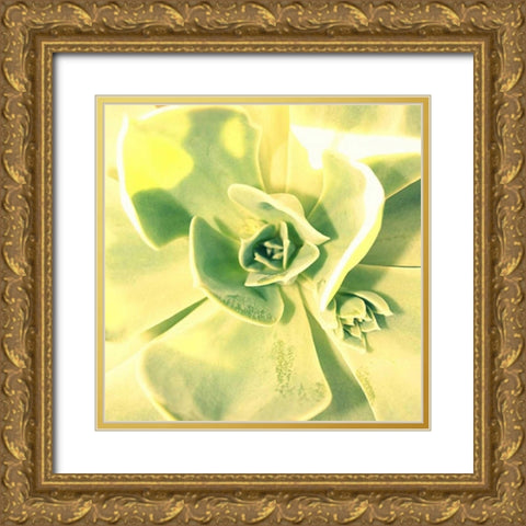 Succulent I Gold Ornate Wood Framed Art Print with Double Matting by Bell, Lillian