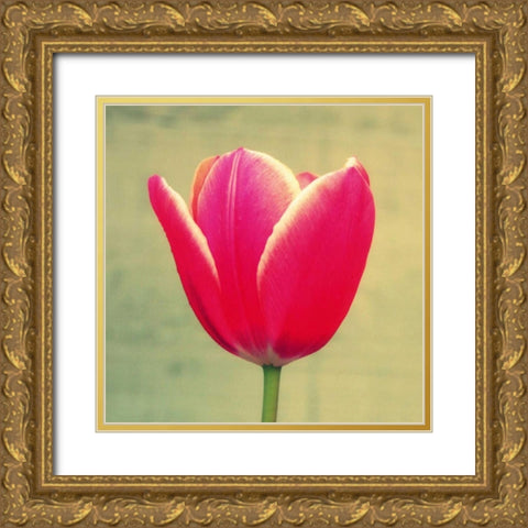 Tulip in Fuchsia I Gold Ornate Wood Framed Art Print with Double Matting by Bell, Lillian