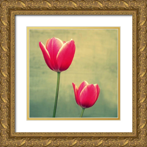 Tulip in Fuchsia II Gold Ornate Wood Framed Art Print with Double Matting by Bell, Lillian