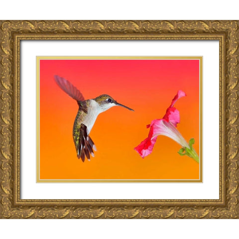 The Flower Dance I Gold Ornate Wood Framed Art Print with Double Matting by Robertson, Leda