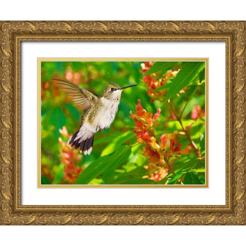 The Flower Dance VII Gold Ornate Wood Framed Art Print with Double Matting by Robertson, Leda