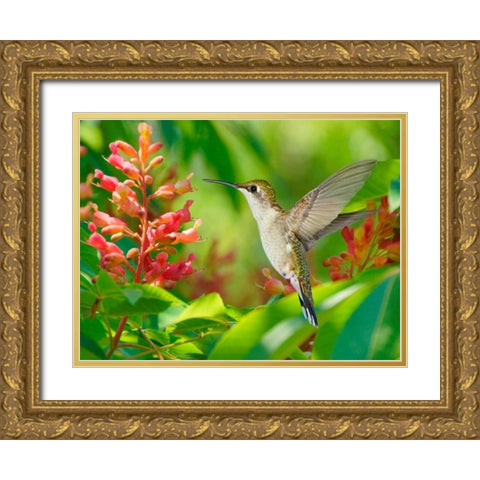 The Flower Dance VIII Gold Ornate Wood Framed Art Print with Double Matting by Robertson, Leda