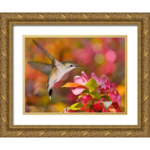 The Flower Dance IX Gold Ornate Wood Framed Art Print with Double Matting by Robertson, Leda