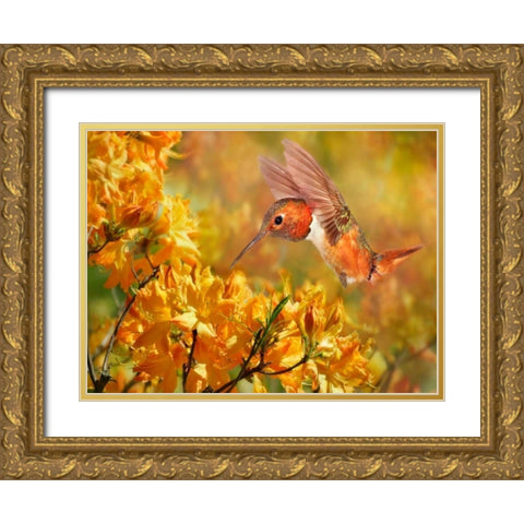 The Flower Dance XI Gold Ornate Wood Framed Art Print with Double Matting by Robertson, Leda