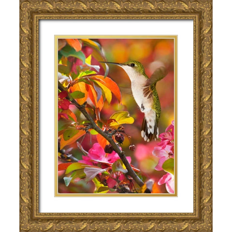 The Flower Dance XVII Gold Ornate Wood Framed Art Print with Double Matting by Robertson, Leda