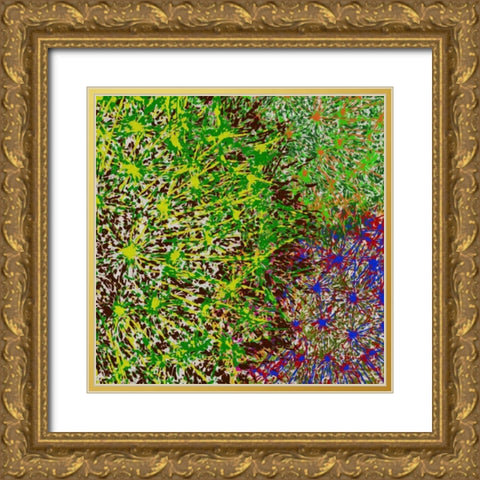 Profusion II Gold Ornate Wood Framed Art Print with Double Matting by Burghardt, James