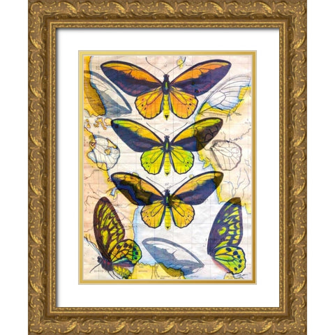 Butterfly Map I Gold Ornate Wood Framed Art Print with Double Matting by Butler, John