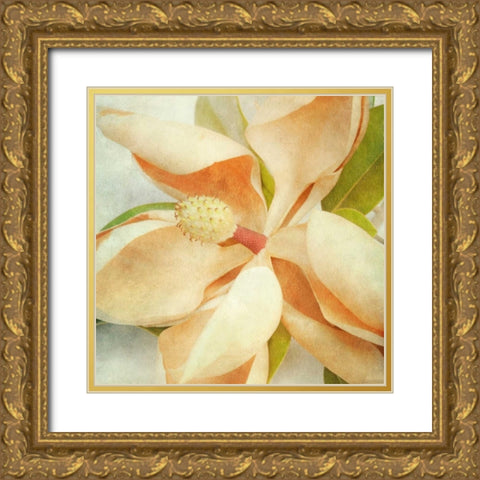 Vintage Magnolia I Gold Ornate Wood Framed Art Print with Double Matting by Malek, Honey