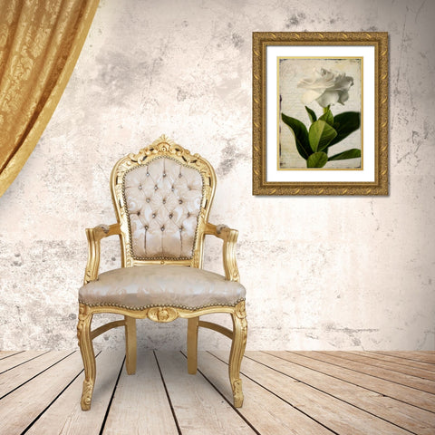 Gardenia Grunge I Gold Ornate Wood Framed Art Print with Double Matting by Malek, Honey