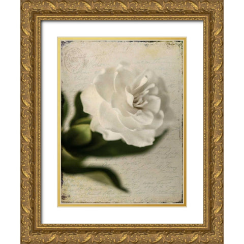 Gardenia Grunge II Gold Ornate Wood Framed Art Print with Double Matting by Malek, Honey