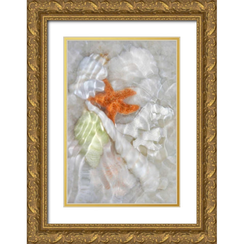 Underwater Light Waves I Gold Ornate Wood Framed Art Print with Double Matting by Robertson, Leda