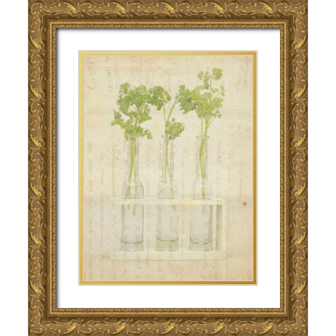 Herb Still Life I Gold Ornate Wood Framed Art Print with Double Matting by Orlov, Irena