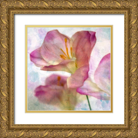 Pink Hyacinth I Gold Ornate Wood Framed Art Print with Double Matting by Malek, Honey