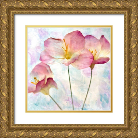Pink Hyacinth IV Gold Ornate Wood Framed Art Print with Double Matting by Malek, Honey