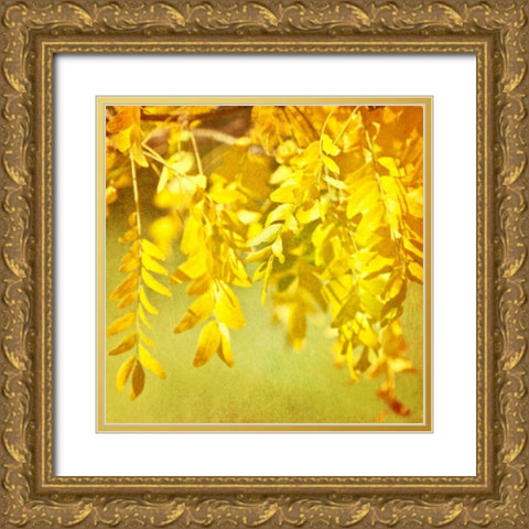 Autumn Photography I Gold Ornate Wood Framed Art Print with Double Matting by Coomes, Sylvia