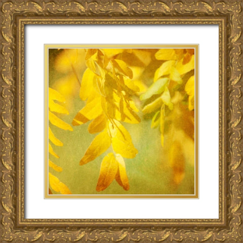 Autumn Photography II Gold Ornate Wood Framed Art Print with Double Matting by Coomes, Sylvia