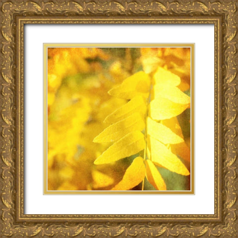 Autumn Photography III Gold Ornate Wood Framed Art Print with Double Matting by Coomes, Sylvia