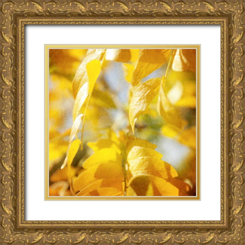Autumn Photography V Gold Ornate Wood Framed Art Print with Double Matting by Coomes, Sylvia