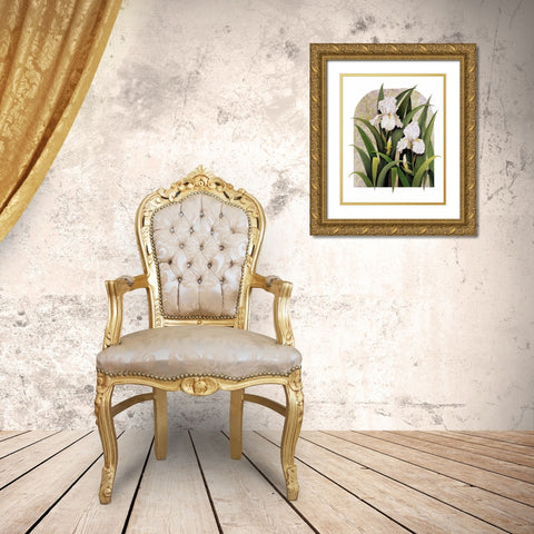 Iris Vignette Gold Ornate Wood Framed Art Print with Double Matting by Matcham, Marcia