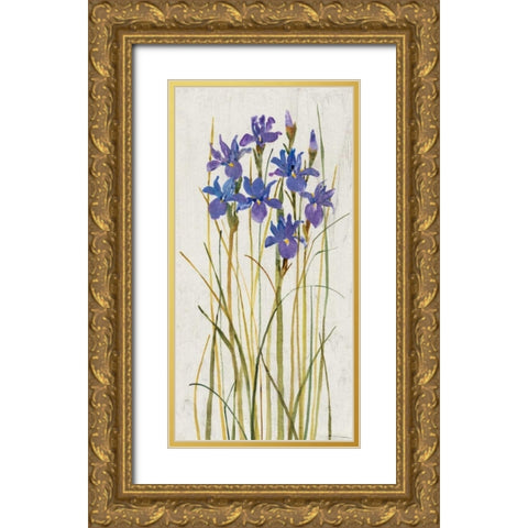 Iris Patch II Gold Ornate Wood Framed Art Print with Double Matting by OToole, Tim