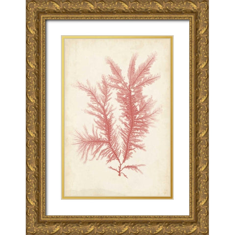 Coral Sea Feather II Gold Ornate Wood Framed Art Print with Double Matting by Bradbury, Henry