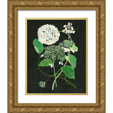 White Hydrangea Study I Gold Ornate Wood Framed Art Print with Double Matting by Wang, Melissa