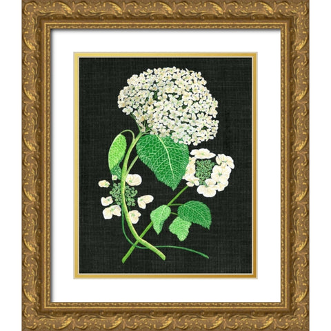White Hydrangea Study II Gold Ornate Wood Framed Art Print with Double Matting by Wang, Melissa