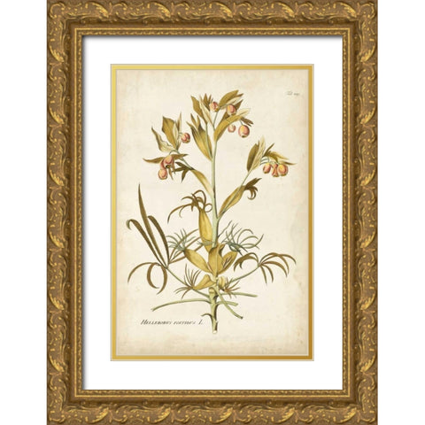 Elegant Botanical II Gold Ornate Wood Framed Art Print with Double Matting by Plenk, J.J.