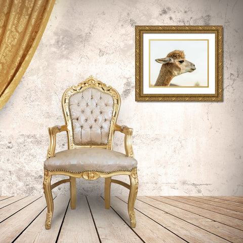 Alpaca Portrait I Gold Ornate Wood Framed Art Print with Double Matting by Stockton, Tyler