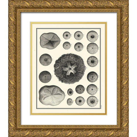 Small Aegean Collection I Gold Ornate Wood Framed Art Print with Double Matting by Vision Studio