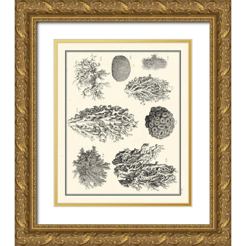 Small Aegean Collection IV Gold Ornate Wood Framed Art Print with Double Matting by Vision Studio