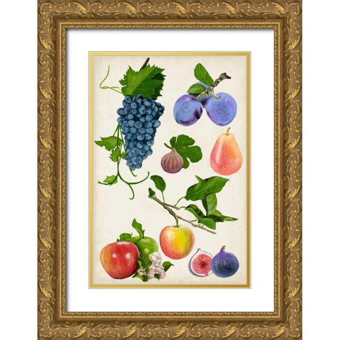 Fruit Collection II Gold Ornate Wood Framed Art Print with Double Matting by McCavitt, Naomi
