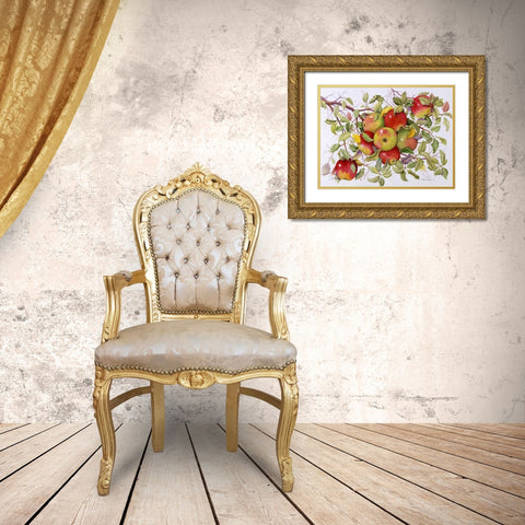 Apples Gold Ornate Wood Framed Art Print with Double Matting by Matcham, Marcia
