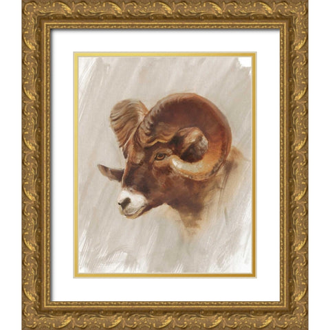 Western American Animal Study I Gold Ornate Wood Framed Art Print with Double Matting by Harper, Ethan