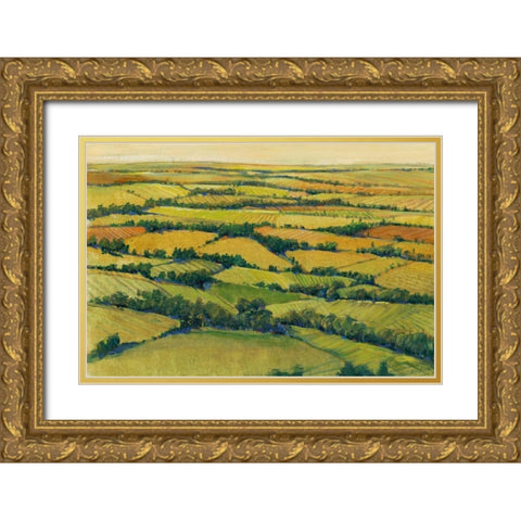 A View Above I Gold Ornate Wood Framed Art Print with Double Matting by OToole, Tim
