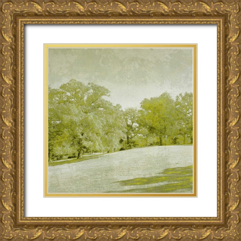 Beryl Landscape  II Gold Ornate Wood Framed Art Print with Double Matting by Zarris, Chariklia