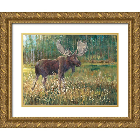 Moose in the Field Gold Ornate Wood Framed Art Print with Double Matting by OToole, Tim