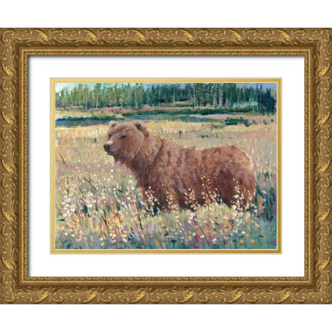 Bear in the Field Gold Ornate Wood Framed Art Print with Double Matting by OToole, Tim