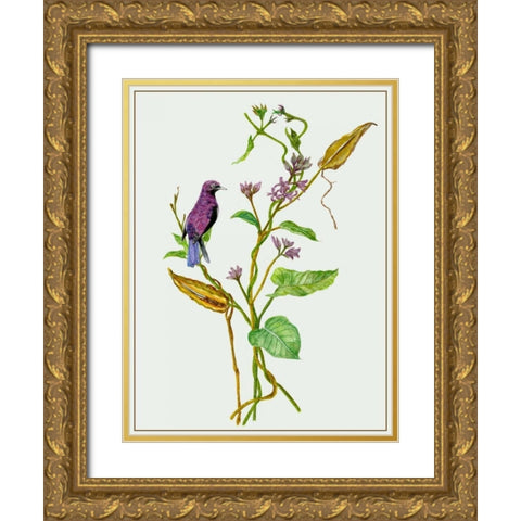 Metaplexis Japonica I Gold Ornate Wood Framed Art Print with Double Matting by Wang, Melissa