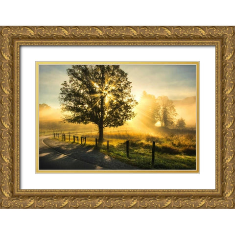Wake Up Call Gold Ornate Wood Framed Art Print with Double Matting by Head, Danny