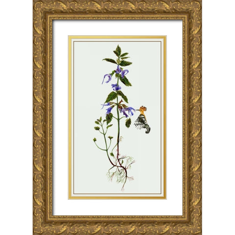 Salvia Miltiorrhiza II Gold Ornate Wood Framed Art Print with Double Matting by Wang, Melissa