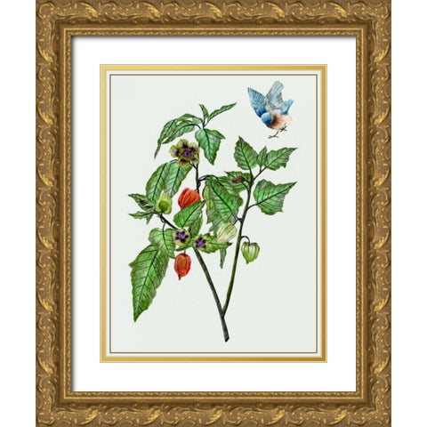 Cape Gooseberry I Gold Ornate Wood Framed Art Print with Double Matting by Wang, Melissa