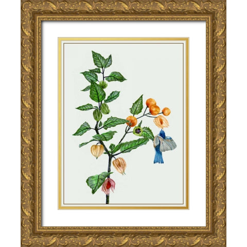 Cape Gooseberry II Gold Ornate Wood Framed Art Print with Double Matting by Wang, Melissa