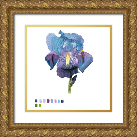 Brighton Blooms IV Gold Ornate Wood Framed Art Print with Double Matting by McCavitt, Naomi