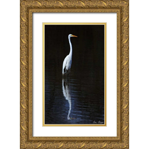 Elegant Egret II Gold Ornate Wood Framed Art Print with Double Matting by Drost, David