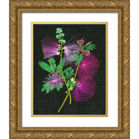 Calliandra Surinamensis I Gold Ornate Wood Framed Art Print with Double Matting by Wang, Melissa