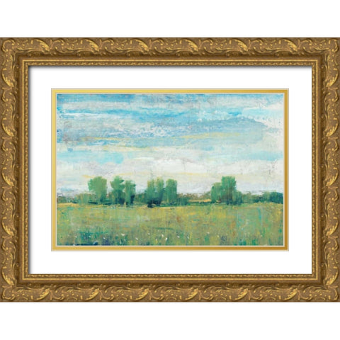 Splendor in Spring I Gold Ornate Wood Framed Art Print with Double Matting by OToole, Tim