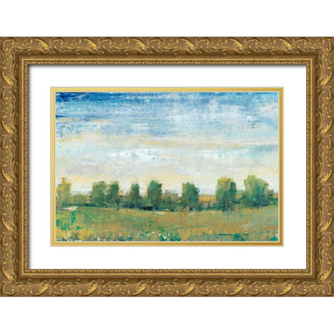 Splendor in Spring II Gold Ornate Wood Framed Art Print with Double Matting by OToole, Tim