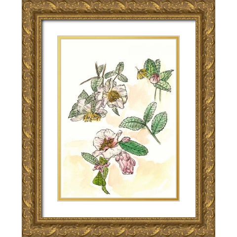 Camellia Study Gold Ornate Wood Framed Art Print with Double Matting by Wang, Melissa