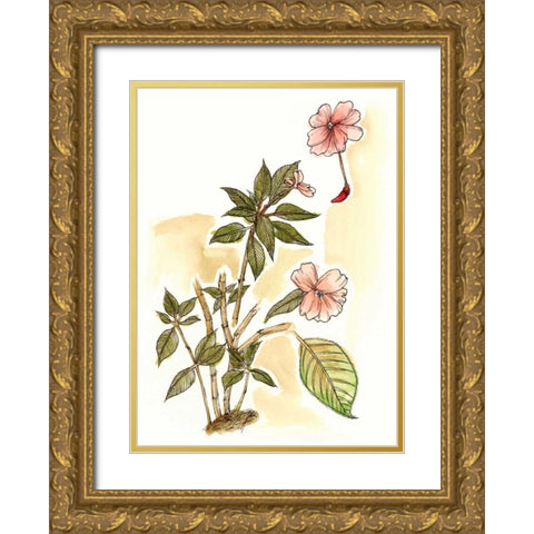 Impatiens Study Gold Ornate Wood Framed Art Print with Double Matting by Wang, Melissa